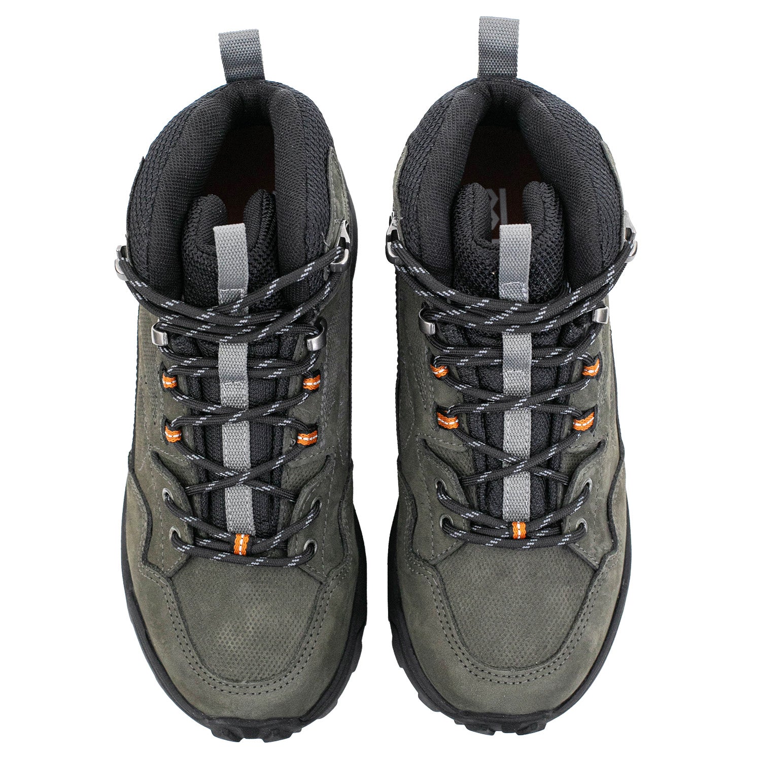 BORCEGO HANFORD VISÓN