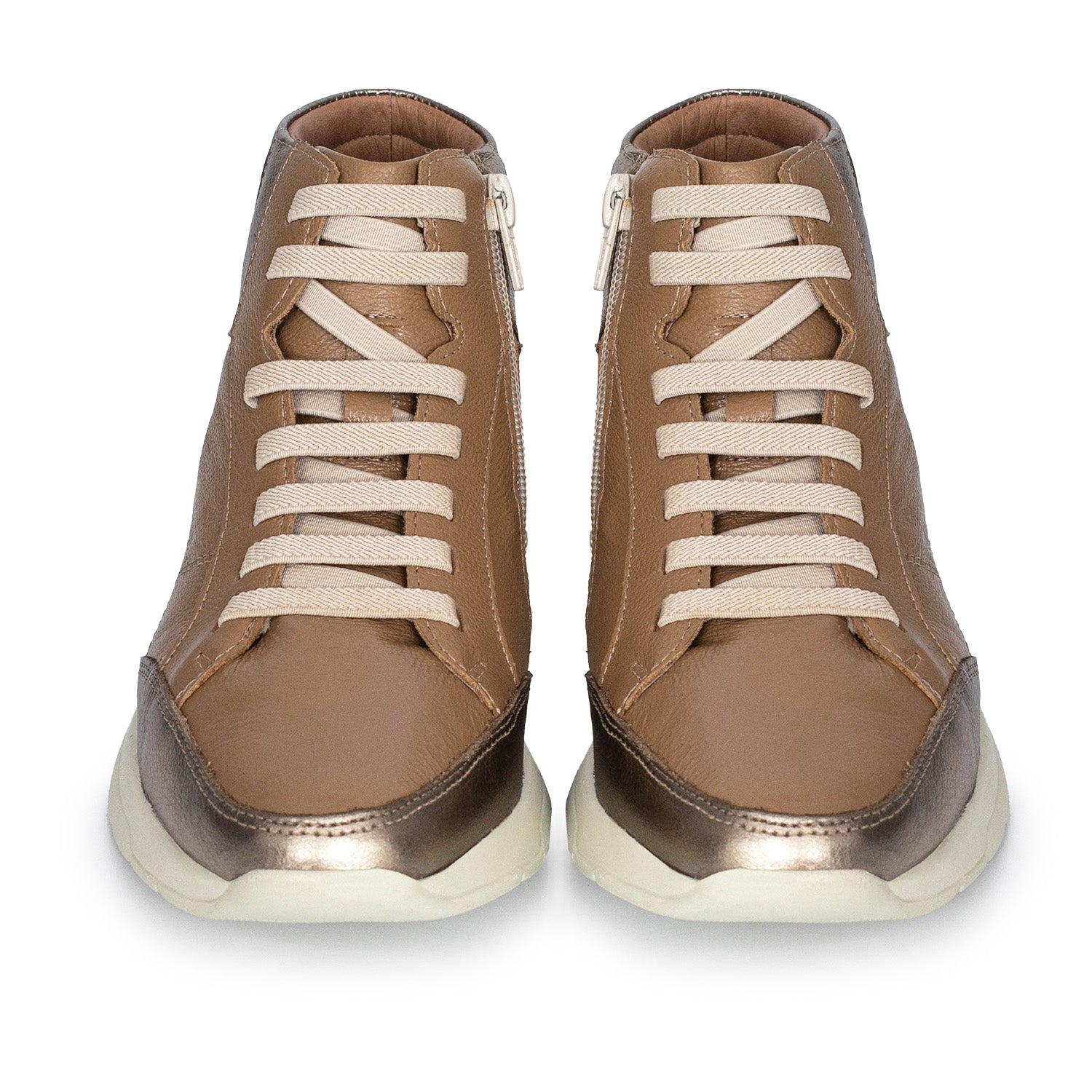 ZAPATILLA REYNOLDS PELTRE