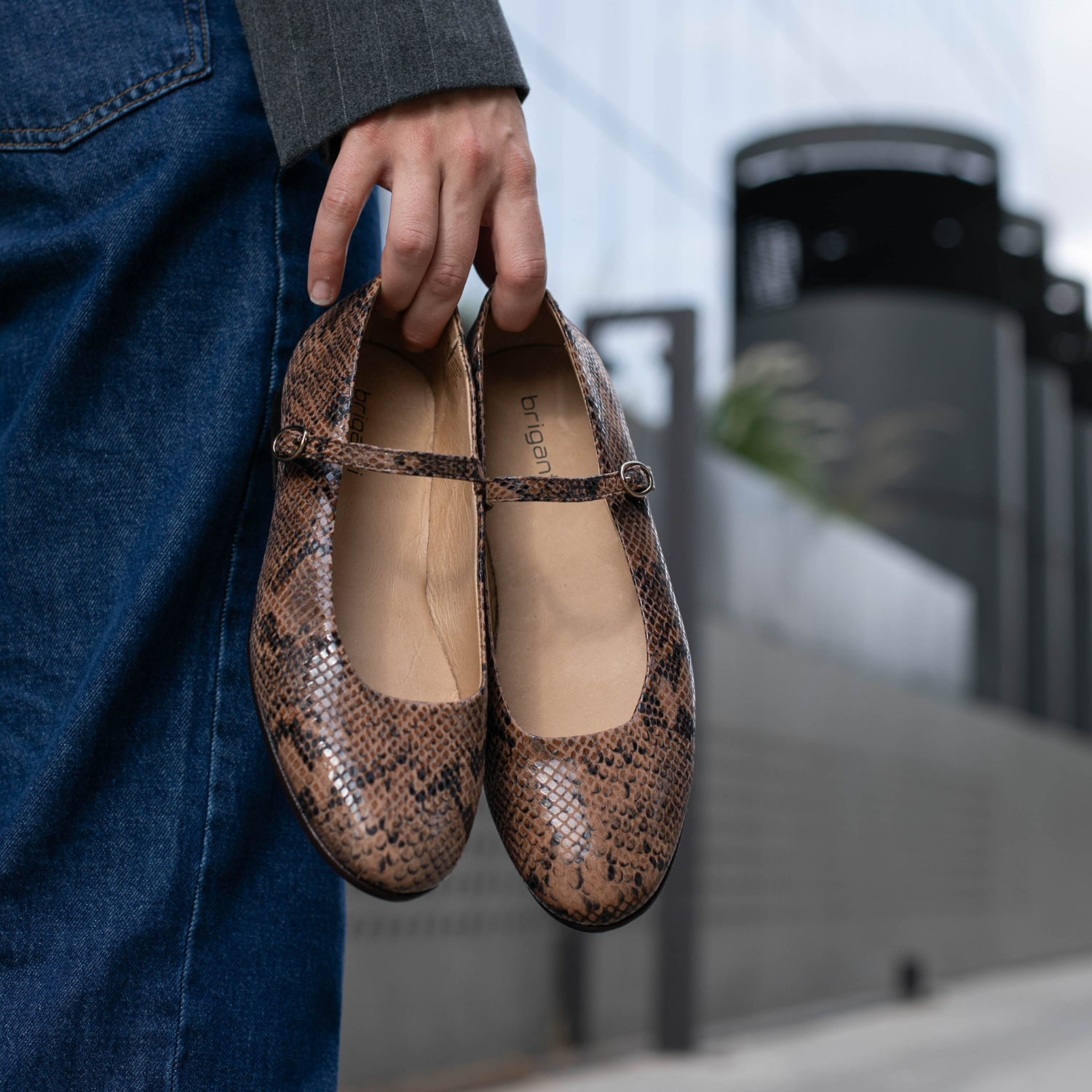 CHATITA LIRIO MARRON CROCO